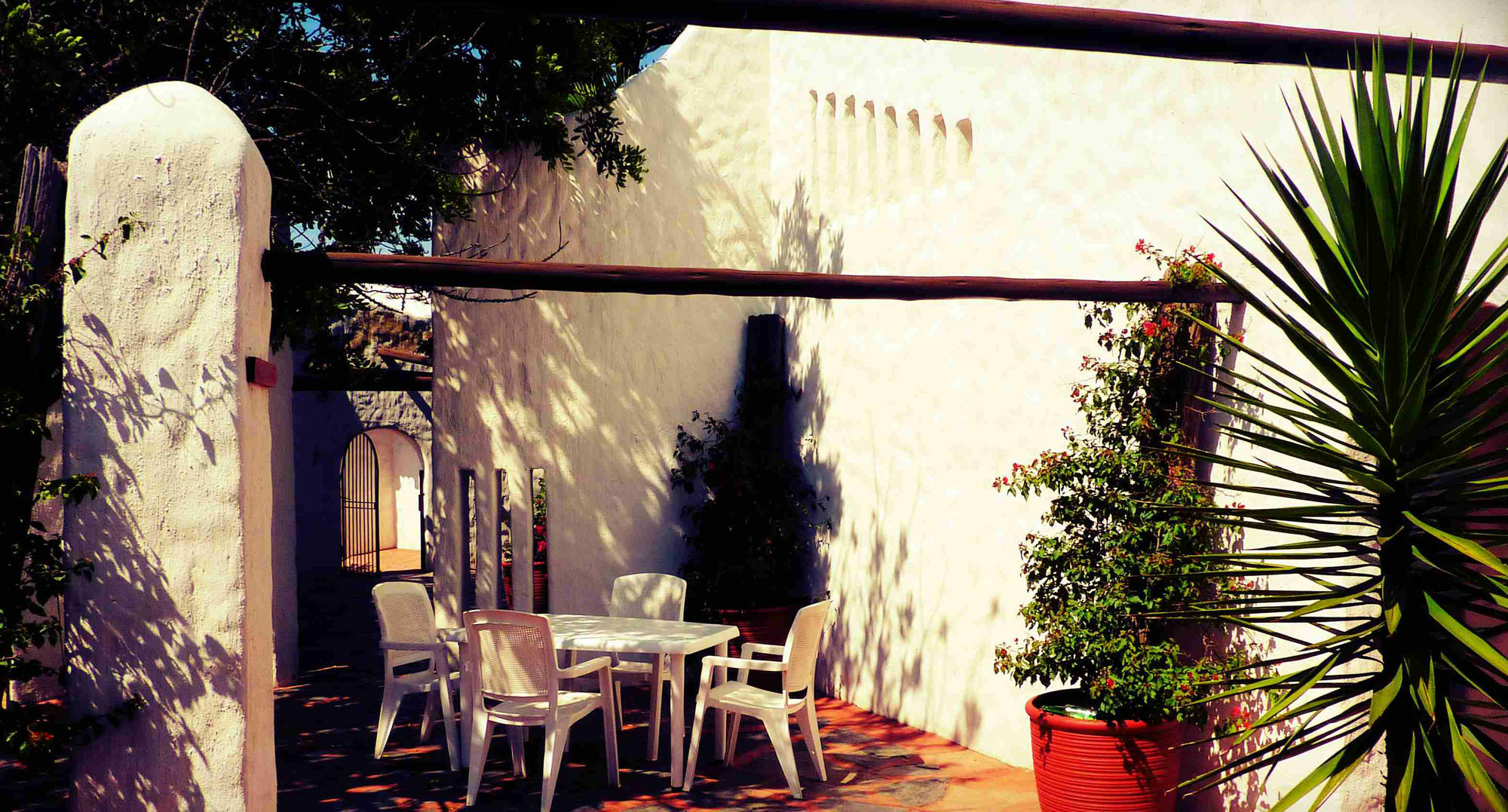By Bush Telegraph Lodge Johannesburg Bagian luar foto